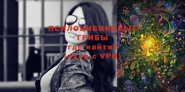 apvp Алексин