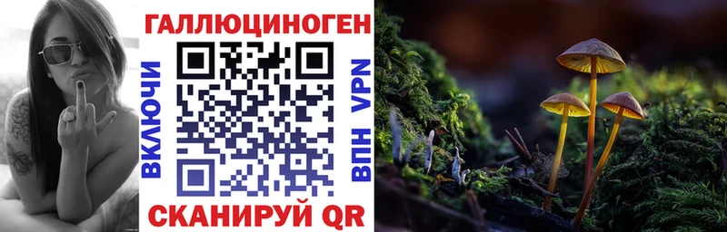 Псилоцибиновые грибы прущие грибы  Грязовец 