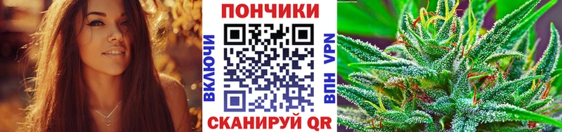 цены   Грязовец  Конопля гибрид 